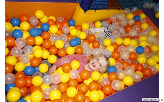 Ark toddler ball pool